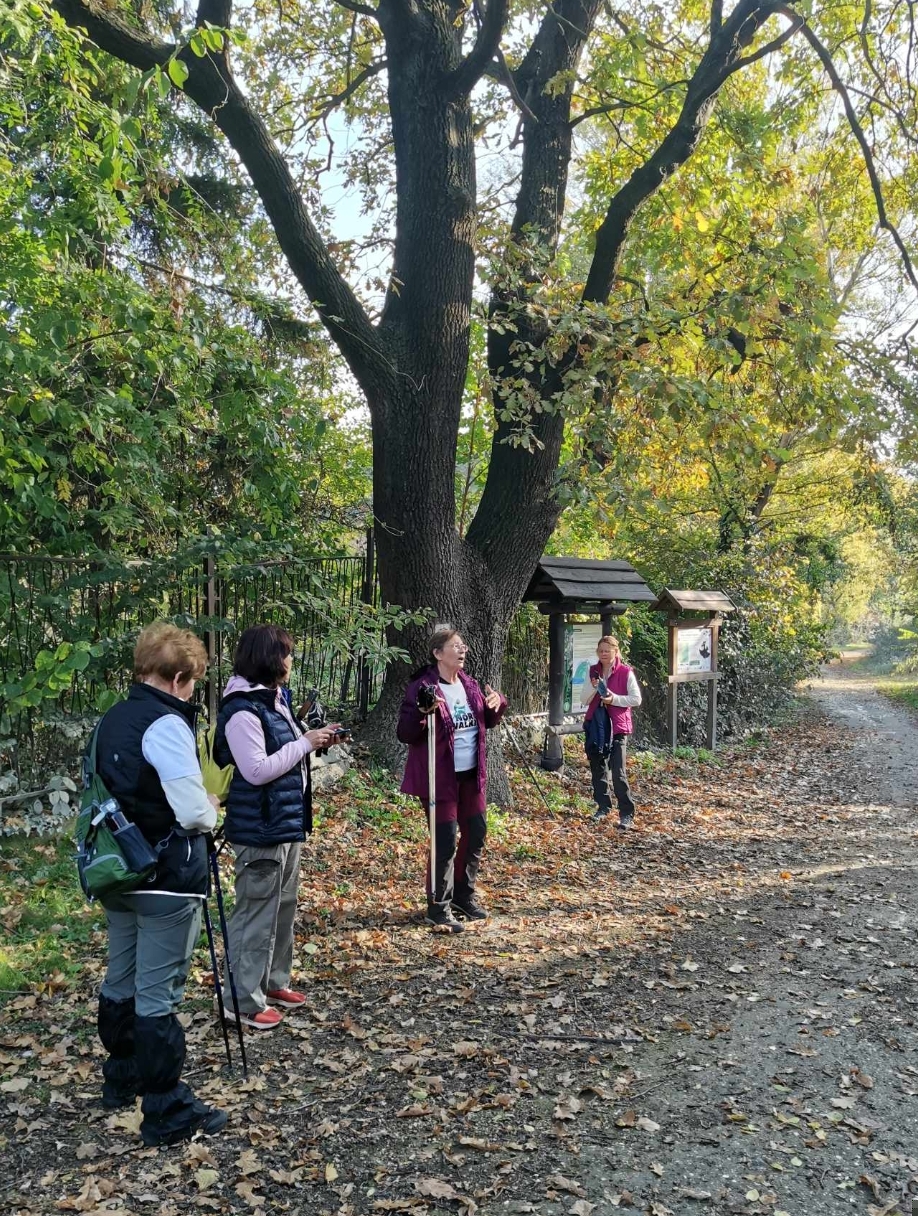 Kezdőlap 4 - 1000018909 - Nordic Walking Alapok